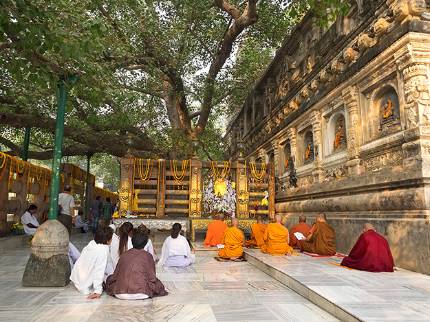 Meditation & Spiritual Retreats in Bodhgaya – Top Places to Visit