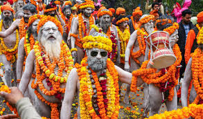 What is Special About Maha Kumbh Mela?