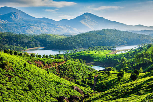 Munnar Tour Package