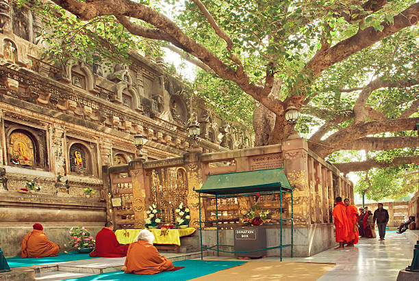 Buddhist Circuit Tour Package from Delhi,
